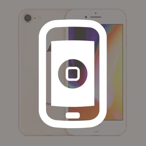 Замена шлейфа кнопки Home в iPhone 8